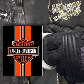 Прикольные кружки: Чашка Мото 054